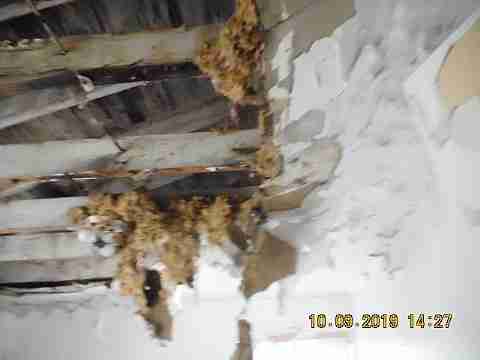 13021 Kelly (23)_m.jpg